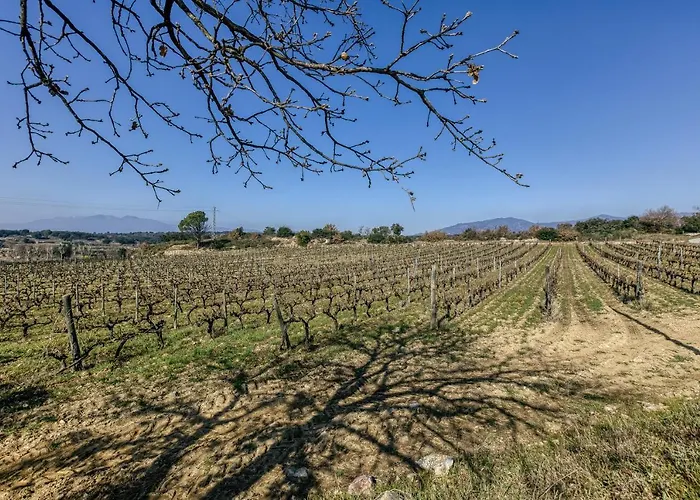 Picola Tatil Evi Capmany