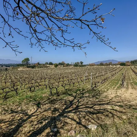 Picola Holiday home Capmany